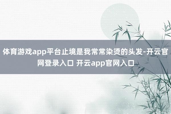 体育游戏app平台止境是我常常染烫的头发-开云官网登录入口 开云app官网入口
