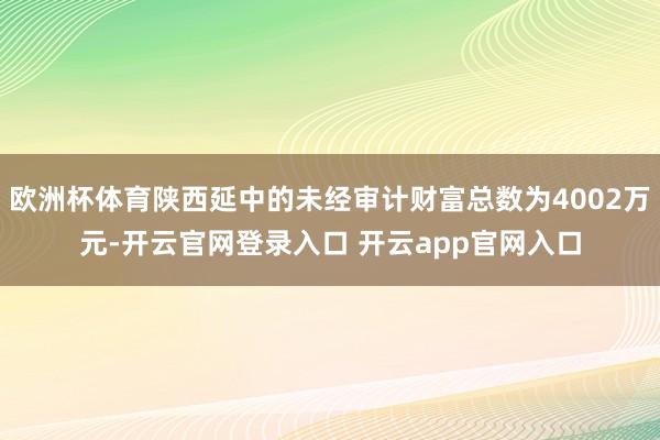 欧洲杯体育陕西延中的未经审计财富总数为4002万元-开云官网登录入口 开云app官网入口